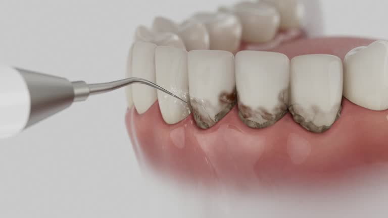 Reliable Dental contractor in Difficult Run, VA by Dentist Open Now